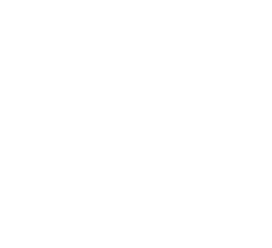 Eagle Ridge Logistics Footer Logo